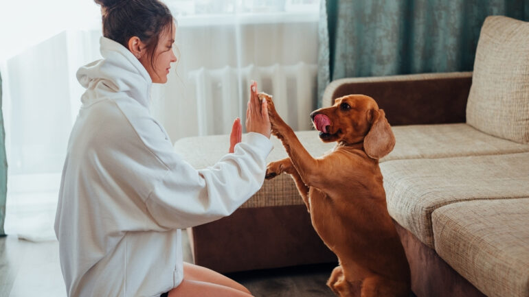 Köpeğinizle Kolay İletişim Kurmayı Sağlayacak 12 Komut