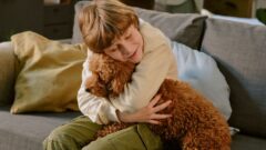 Köpekler İnsan Duygularını Anlar mı?