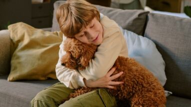 Köpekler İnsan Duygularını Anlar mı?