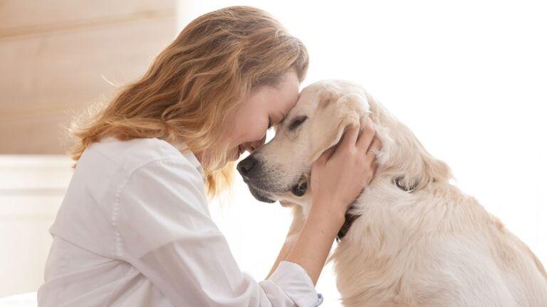 Köpekler Kaç Kelime Anlayabilirler?