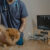 Köpeklerde Astım Belirtileri ve Tedavisi