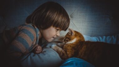 Çocuklar İçin En İyi Kedi Cinsleri