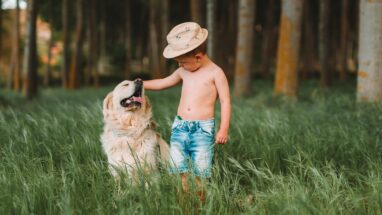 Çocuklarla İyi Anlaşan Köpek Türleri Nelerdir?