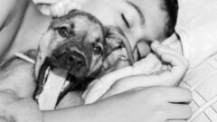 Ev Köpeğinin Bakımı Nasıl Olmalı?