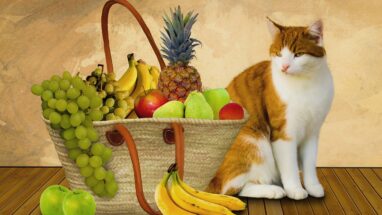Kediler Ananas Yiyebilir Mi?