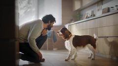 Köpekler Ne Kadar Yaşar? Köpeklerin Yaşam Süresi