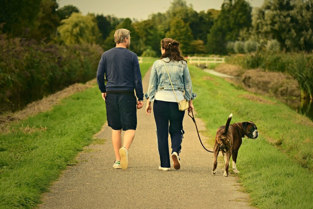 Köpekler Ne Kadar Yürümeli?