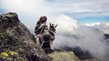 Köpeklerde Hipotermi Nedir?